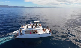 Dolphins & Snorkeling Private Garza 3.5 hrs