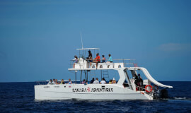 Private Catamaran Ocean Seaside Garza 3.5 hrs