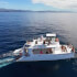 Dolphins & Snorkeling Private Garza 3.5 hrs
