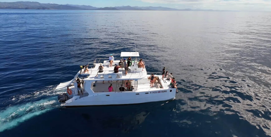 Dolphins & Snorkeling Private Garza 3.5 hrs