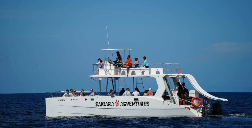 Private Catamaran Ocean Seaside Garza 3.5 hrs